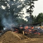 Burning trees
