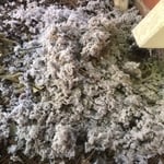 Clogged dryer vent