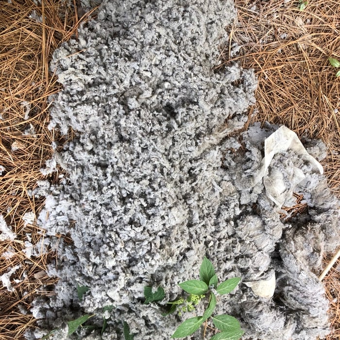 Clogged dryer vent