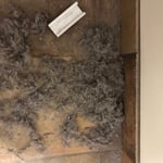 Ban field animal hospital