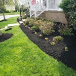 Project Photos