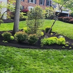 Project Photos