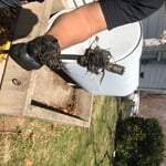 Root removal