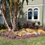 Landscaping project January 2024