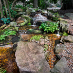 Full Upstream View