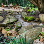 View With Fire Pit