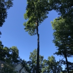 Randolph nj