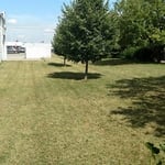 back yard