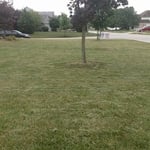Front Lawn