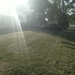 mowing
