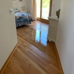 Sand & Refinish