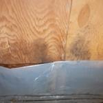 Mold growth