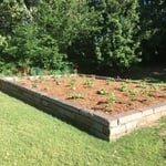 Raised vegetable garden