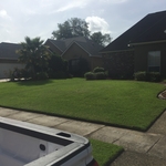 Yard service
