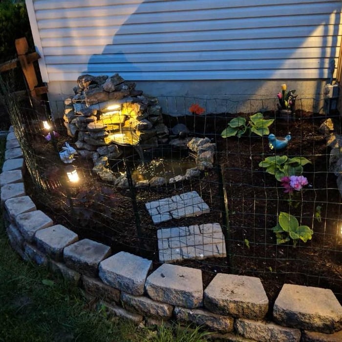 Pond