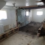 Basement Mold Issues