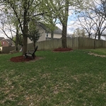 landscape and mulch