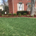 landscape and mulch