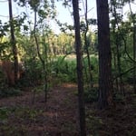PROPOSAL HOME SITE