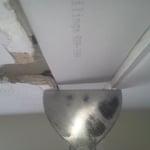 OUR WORK