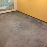Carpet cleaning