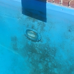 2 day pool algae start up