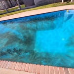 2 day pool algae start up