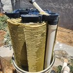 2 day pool algae start up