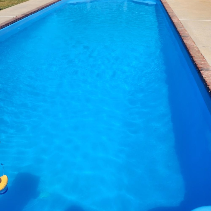 2 day pool algae start up