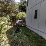 Power raking/Debris removal