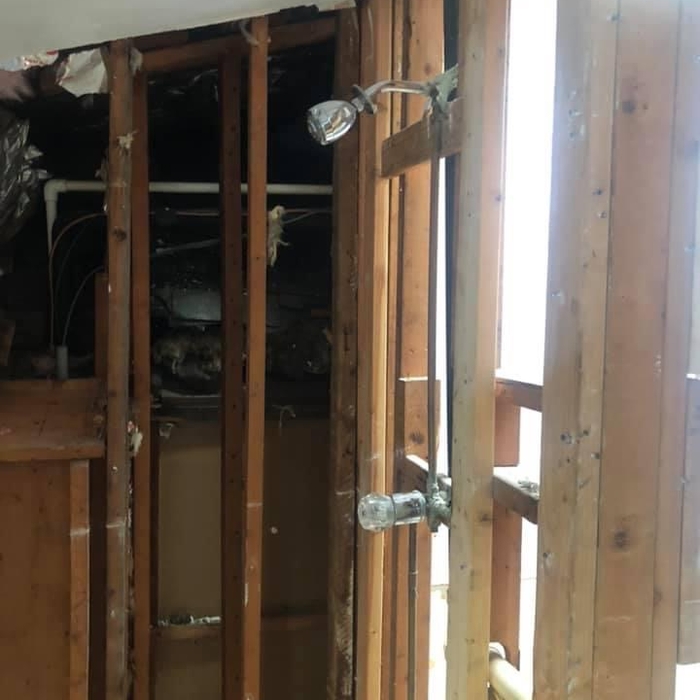 Bathroom demo