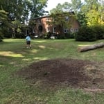 After stump is ground and cleaned up