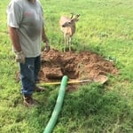 Martin had a little helper pumping this tank