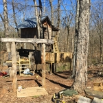 Treehouse renovation
