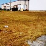 Commercial Property