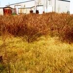 Commercial Property