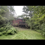 Brush clearing
