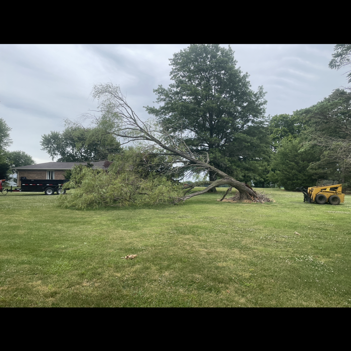 Storm damage cleanup