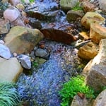 Pondless Waterfall and Stream
