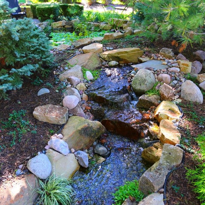 Pondless Waterfall and Stream