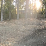 West Lake Clearing