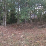 West Lake Clearing