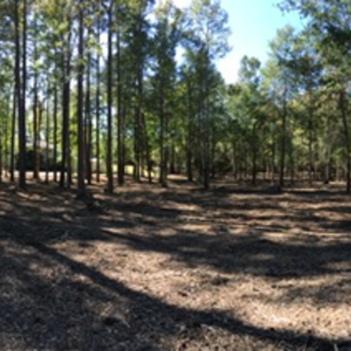 6 Acre Clearing