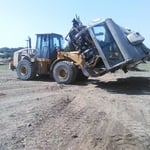 the beast