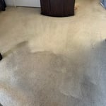 Heavily Soiled Room
