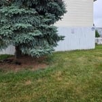 Fence Installation.