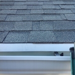 OUR WORK