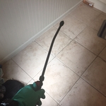 Roach/flea treatment