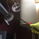 Flea /bed bug prevention spray