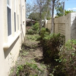 Backyard Makeover